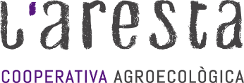 Portal L'Aresta
